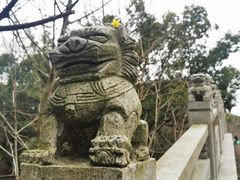 -同里国家湿地公园