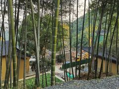 -东明山森林公园