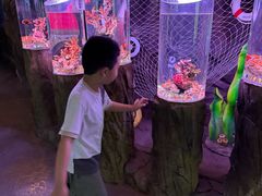 -南昌融创海世界