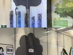 -黑马眼科·近视手术
