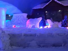 -世界之窗阿尔卑斯冰雪世界