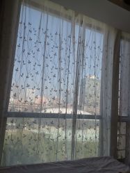 -海豚湾高端月子会所(黄浦店)