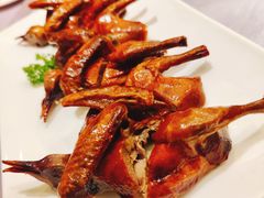 乳鸽皇-宝燕壹号(徐汇店)