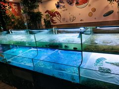 -特色酱椒鱼私房菜(黄鹤楼店)