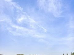 -石家庄市植物园