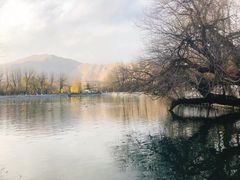 -宗角禄康公园