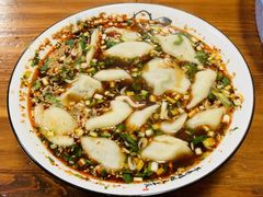 牛肉韭黄饺子-尤素福东举院饺子馆