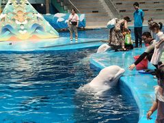 -海合安成都极地海洋公园