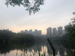 -重庆彩云湖湿地公园