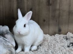 -上海大自然野生昆虫馆(东方明珠·爬宠昆虫探索中心)