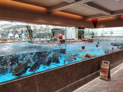 -艳阳天·非遗楚菜(武汉客厅店)