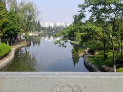 -河泥荡文化公园