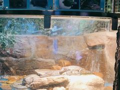 -多彩贵州城极地海洋世界