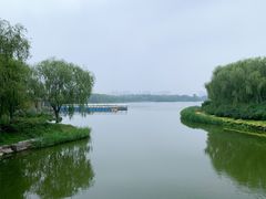 -大兴滨河森林公园