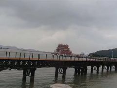 -野狸岛