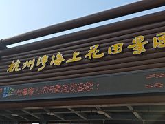 -杭州湾海上花田景区