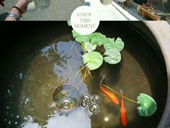 -前童古镇