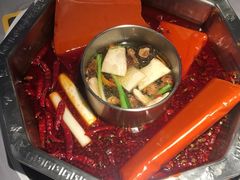 -蜀九香火锅(九眼桥店)