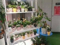 -和平大悦城