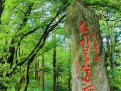 -庐山风景区花径公园