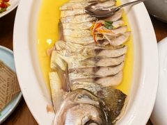 -鲁宴·鲁煨黄河生态大鲤鱼(月坛店)