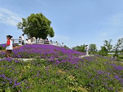 -祥源·阜阳生态乐园