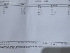 -那红花·东北菜铁锅炖(仙林金鹰店)