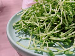 -肥佬大椰子鸡(三里屯3·3大厦店)