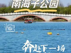 -南海子公园