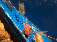 -綱元·海鲜豆捞(明州里店)