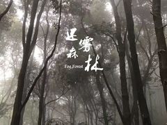 -广州市石门国家森林公园