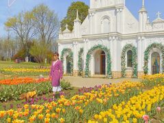 -杭州湾海上花田景区