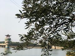 -水濂山森林公园