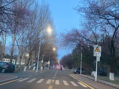 -吉林大学(南岭校区)