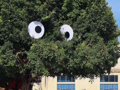 -巨鹏飞梦幻海岸