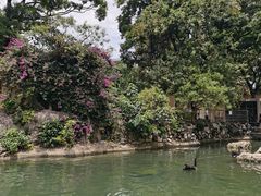 -昆明动物园