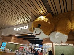 -帕帕拉兹宠物(亚洲旗舰店)