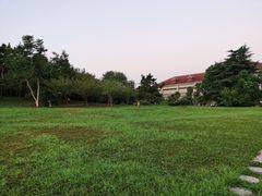 -金孔雀温泉旅游度假村