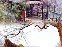 -沣峪口