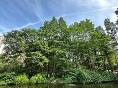 -苏州河梦清园环保主题公园