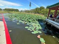 -黑龙江扎龙生态旅游区