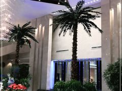 -常州环球恐龙城维景国际大酒店