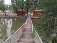 -东方巨龟苑景区