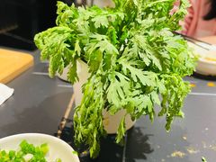 -蜀九香火锅(彩虹店)