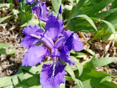 -御粥轩(秦隆步行街店)