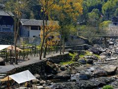 -MOJ coffee(瓯海泽雅水碓坑店)