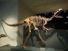 -自贡恐龙博物馆