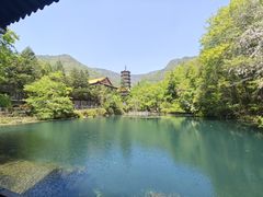 -莫干山风景区