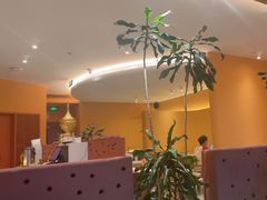 -美泰·Mangothai·清迈云街(天空之城店)