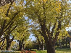 -南京银杏湖乐园